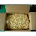 New Crop Fresh Peeled Garlic (180-220grains/kg)